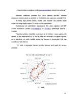 Biznesa plāns 'Projekts uzņēmuma SIA Kāzu aģentūra AMORE izveide Rīgā 2008.gadā', 24.