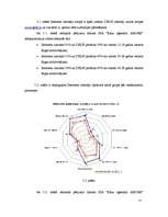Biznesa plāns 'Projekts uzņēmuma SIA Kāzu aģentūra AMORE izveide Rīgā 2008.gadā', 25.