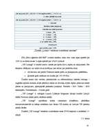 Biznesa plāns 'Projekts uzņēmuma SIA Kāzu aģentūra AMORE izveide Rīgā 2008.gadā', 28.