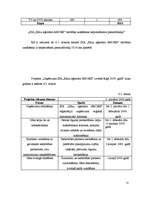 Biznesa plāns 'Projekts uzņēmuma SIA Kāzu aģentūra AMORE izveide Rīgā 2008.gadā', 35.