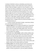 Referāts 'Banku pašu līdzekļu dinamika', 13.