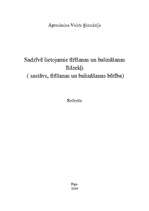 Konspekts 'Sadzīvē lietojamie tīrīšanas un balināšanas līdzekļi', 1.