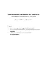 Eseja 'Interest Groups: Lobbyist in the European Union', 5.