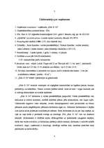 Prakses atskaite 'Profesionālās prakses pārskats', 4.