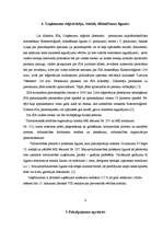 Prakses atskaite 'Profesionālās prakses pārskats', 6.