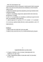 Prakses atskaite 'Profesionālās prakses pārskats', 12.