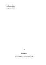 Prakses atskaite 'Profesionālās prakses pārskats', 13.