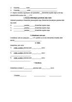 Prakses atskaite 'Profesionālās prakses pārskats', 16.