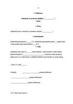 Prakses atskaite 'Profesionālās prakses pārskats', 17.