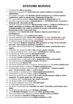 Konspekts 'Nervu sistēma', 1.