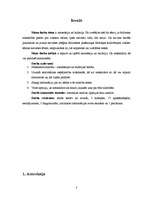 Referāts 'Anoreksija un bulīmija', 1.