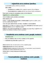 Konspekts 'Fizioloģija - nervu sistēmas', 1.