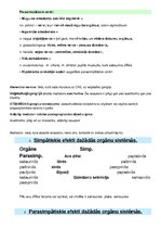 Konspekts 'Fizioloģija - nervu sistēmas', 2.