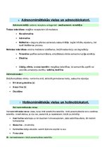 Konspekts 'Fizioloģija - nervu sistēmas', 3.