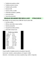 Konspekts 'Fizioloģija - nervu sistēmas', 5.