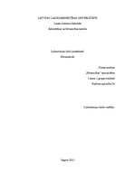 Paraugs 'Laboratorijas darbs - putu ģipša paraugu izgatavošana', 1.