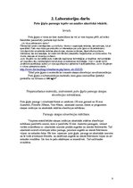 Paraugs 'Laboratorijas darbs - putu ģipša paraugu izgatavošana', 7.