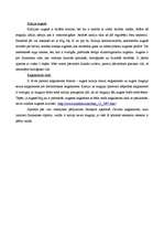 Prakses atskaite 'Industriālā piesārņojuma ietekme uz meža sistēmas komponentiem', 34.