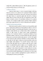 Referāts 'Eksporta plāns SIA "NātreNature"', 9.