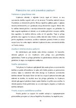 Referāts 'Eksporta plāns SIA "NātreNature"', 10.