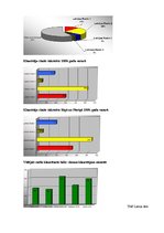Eseja 'Kultūras mediju raksturojums Latvijā', 4.