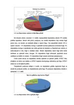 Referāts 'Pētījums par Rīgas Tūrisma koordinācijas un informācijas centra mārketinga komun', 11.