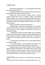 Referāts 'Valsts atbalsta veidi', 10.