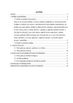 Referāts 'Valsts policija', 2.