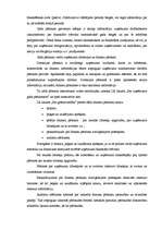 Referāts 'Uzņēmuma finanšu analīze', 5.