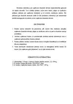 Referāts 'Uzņēmuma finanšu analīze', 6.