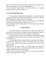 Referāts 'Kazkopība', 9.