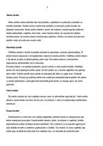 Referāts 'Kredītu sistēma', 6.