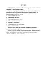 Konspekts 'SIA "Plus Punkts" vadīšanas sistēma', 1.