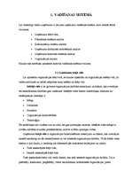 Konspekts 'SIA "Plus Punkts" vadīšanas sistēma', 2.