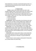 Konspekts 'SIA "Plus Punkts" vadīšanas sistēma', 3.