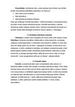 Konspekts 'SIA "Plus Punkts" vadīšanas sistēma', 4.