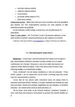 Konspekts 'SIA "Plus Punkts" vadīšanas sistēma', 7.