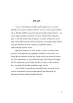 Referāts 'Terorisms', 3.