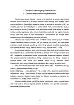 Referāts 'Centrāla banka', 4.