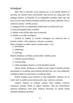 Diplomdarbs 'Mīklu uzdevumu izmantošanas iespējas skolēnu radošās domāšanas attīstīšanā sākum', 67.