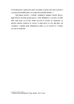 Referāts 'Kontroles process', 9.