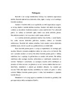 Referāts 'Kontroles process', 10.