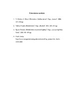 Referāts 'Kontroles process', 11.