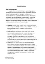 Referāts 'Smaržas un to ietekme uz cilvēku', 17.