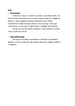 Referāts 'Smaržas un to ietekme uz cilvēku', 31.