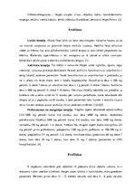 Referāts 'Jostas roze', 7.