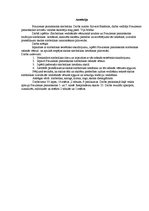 Referāts 'Simbolika', 2.