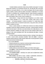 Referāts 'Simbolika', 6.