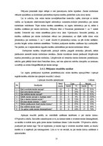 Referāts 'Simbolika', 18.