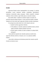 Referāts 'Apgrozāmie līdzekļi', 3.